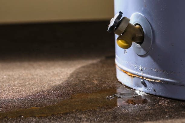 Best Mold removal after water damage  in Jasper, AL