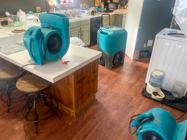 Best Flooded house restoration  in Jasper, AL