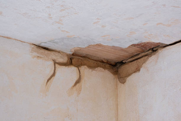 Carpet water damage restoration in AL