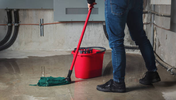 Best Water damage restoration near me  in Jasper, AL
