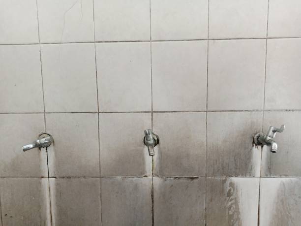 Best Carpet water damage restoration  in Jasper, AL