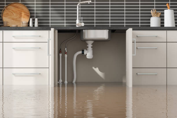 Best Fire Damage Restoration  in Jasper, AL