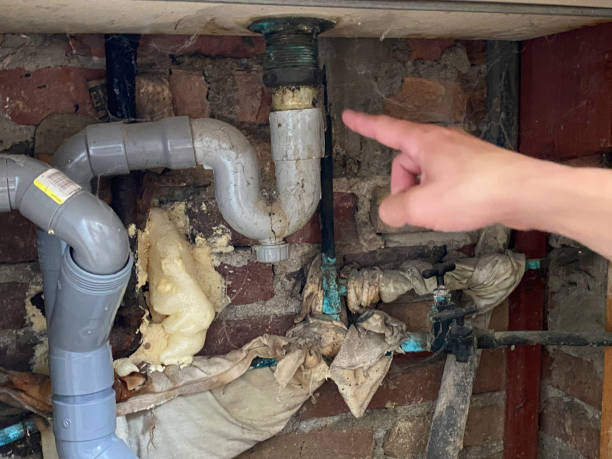 Best Water damage contractors near me  in Jasper, AL