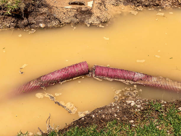 Best 24/7 water damage repair  in Jasper, AL